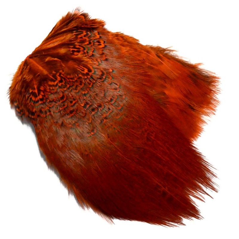 Pheasant rump Patch red chevron sirenas UK faisán espalda parche rojo exellent
