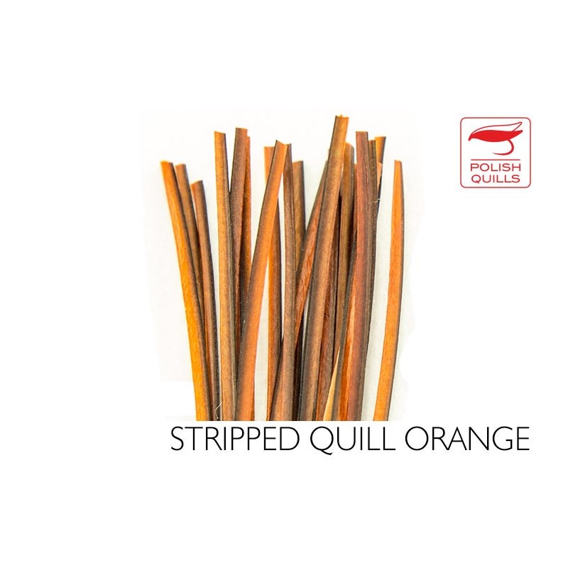 Stripped Peacock Quill - Orange